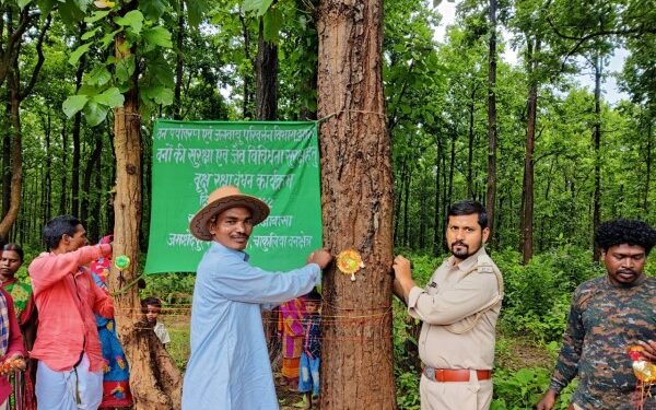 साल वृक्ष पर रक्षा सूत्र बांधते मुखिया और वन कर्मी