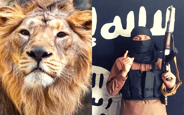 मोजाम्बिक : IS के खूंखार आतंकवादी शेर, मगरमच्छ और सांपों का निवाला बन रहे हैं…