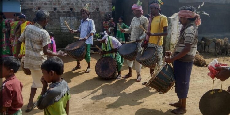 जाहेरथान में मांदर बजाते संथाल आदिवासी