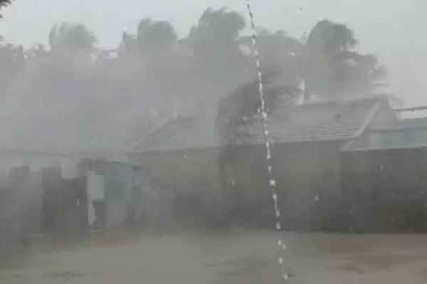 बिपरजॉय का कहर : भारी बारिश शुरू, कई पेड़ और पोल गिरे