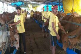 पटना निवासी विनोद कुमार सिंह की अनोखी गौशाला, गायें सुबह शाम भजन सुनती हैं, दूध बेचा नहीं जाता