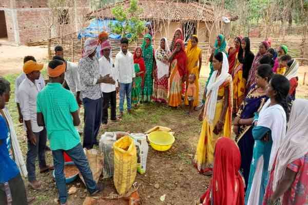 लातेहार: बीजों को संरक्षित करने की दरकार – जेम्स हेरंज