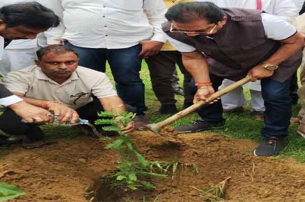  लोहरदगा :  मुक्तिधाम में पौधारोपण कार्यक्रम, धीरज प्रसाद साहू ने कहा, पूर्वजों के नाम पर एक पेड़ जरूर लगायें