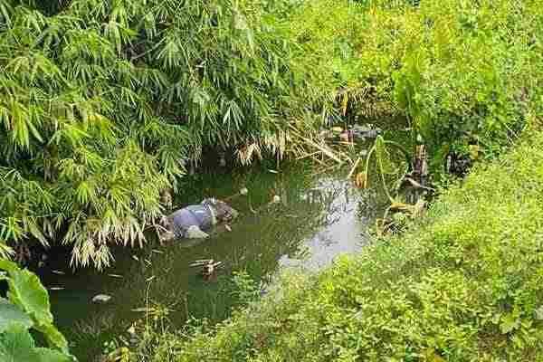 इसी नाले में पड़ा मिला बुजुर्ग का शव