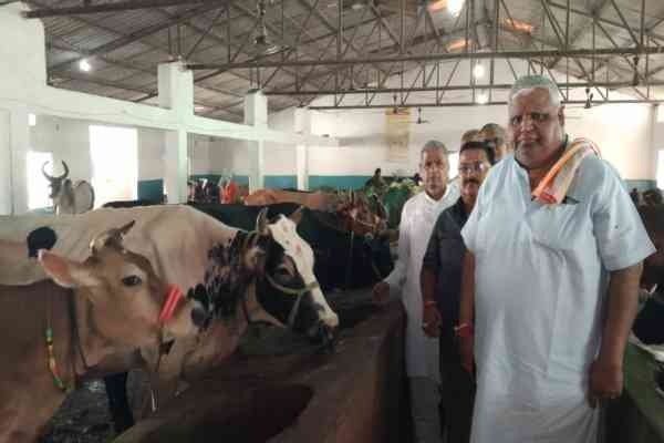 गोशाला में गाय की पूजा करते लोग