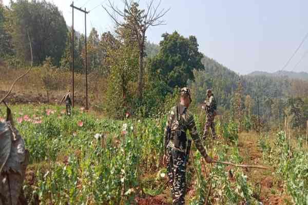 अफीम की फसल नष्ट करती पुलिस